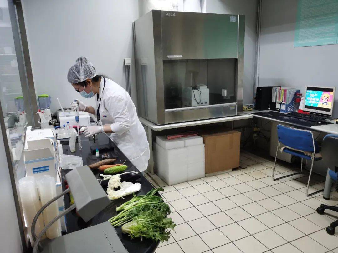 商都食品检测实验室装修方案